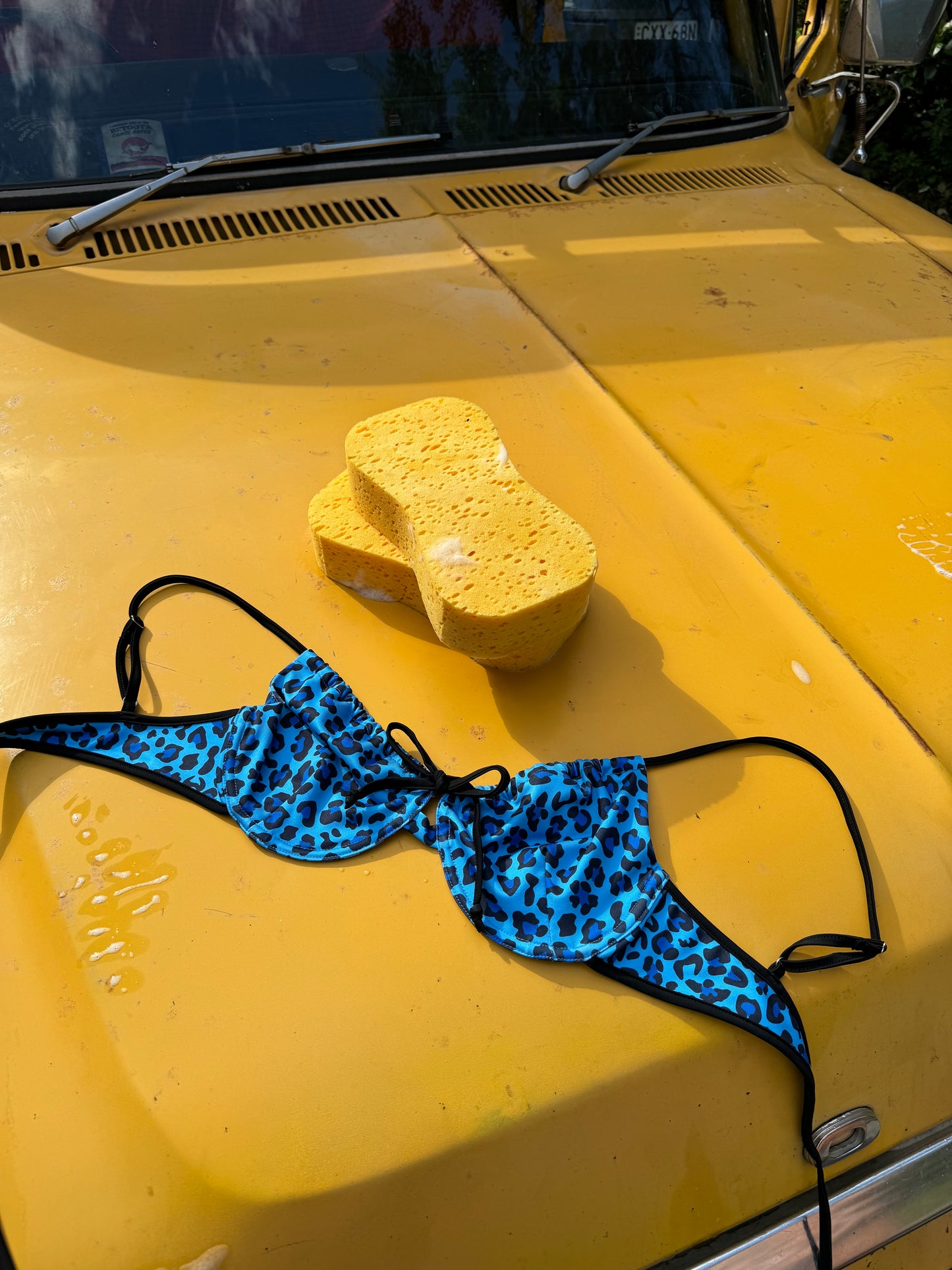 Aquatic Cheetah Bikini Top